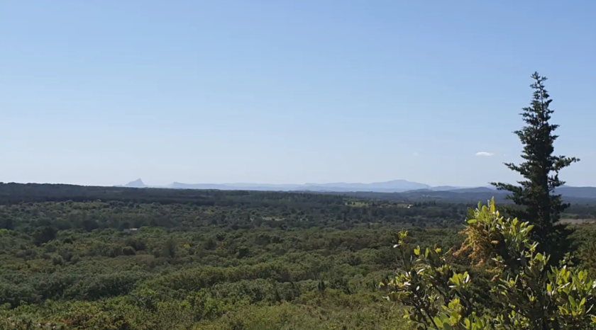 la garrigue