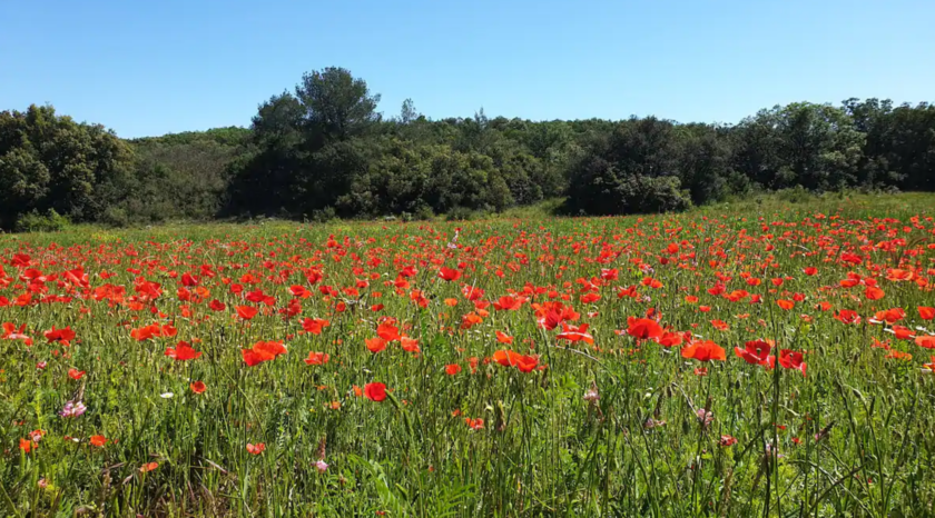 au cœur de la nature